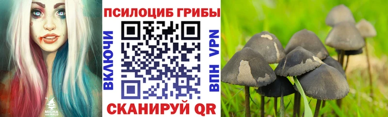 Галлюциногенные грибы MAGIC MUSHROOMS Вязники